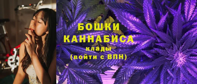 Канабис White Widow  даркнет сайт  Котлас 